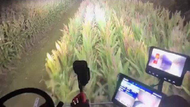 收割机大晚上收麦子，结果没注意差点把墓地给推了