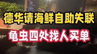 德華請海鮮自助失聯(lián)，龜蟲四處找人買單