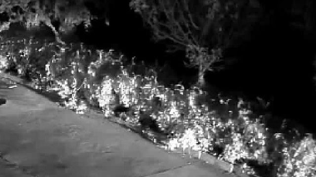 就算查酒驾我也回到家了