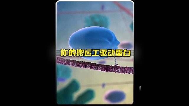 每天就知道搬搬，你体内的超搬运工，你还有什么理由不努力！