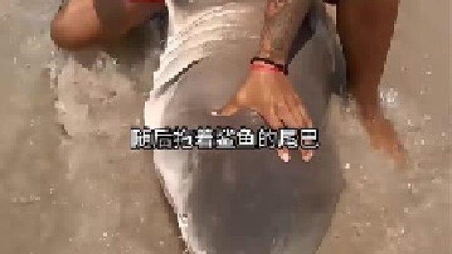 海边救鲨鱼