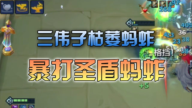 三伟子枯萎蚂蚱暴打圣盾蚂蚱