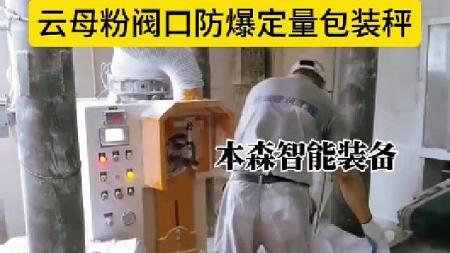 云母粉阀口防爆定量包装秤