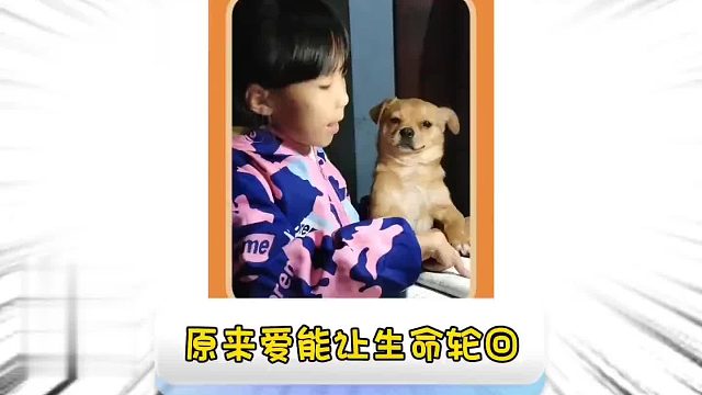 第一百七十四集_原来爱可以让生命轮回