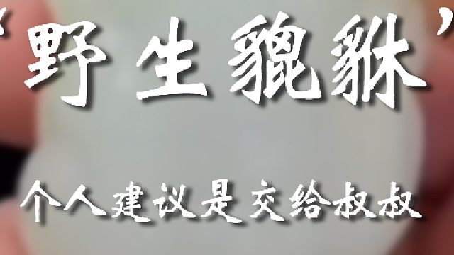你运气咋这么好