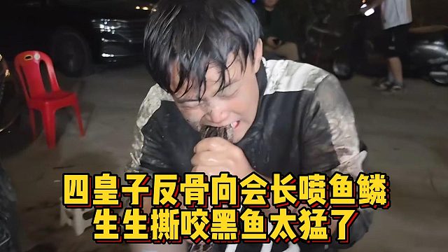 四皇子反骨向会长喷鱼鳞，生生撕咬黑鱼太猛了