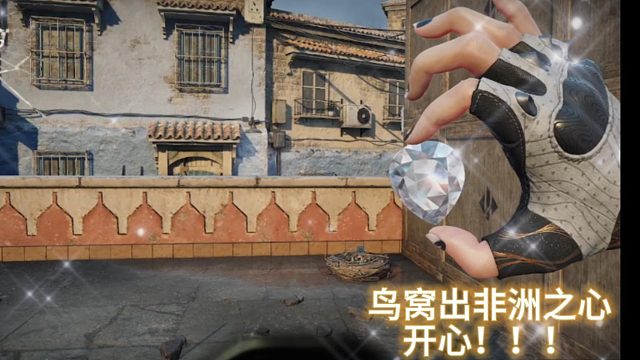 鸟窝出非洲之心  看谁还不摸鸟窝！