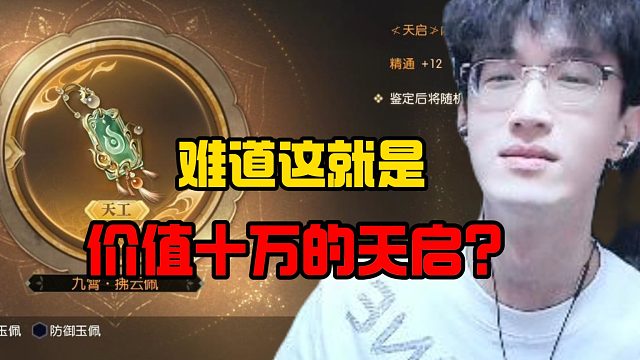 难道这就是价值十万的天启？