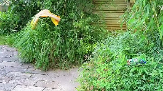 小时侯过水池，长大后送外卖？