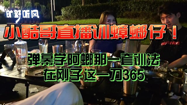 小酷直播训蟑螂仔！弹幕学阿朗那套训法在阿刚这一刀365