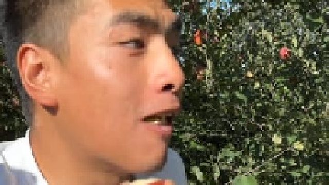 关于跑酷小伙子偷摘苹果被善良的农民叔叔发现后