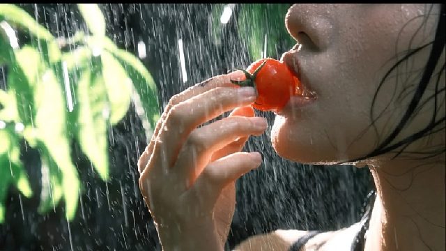 手机花絮vs相机成片