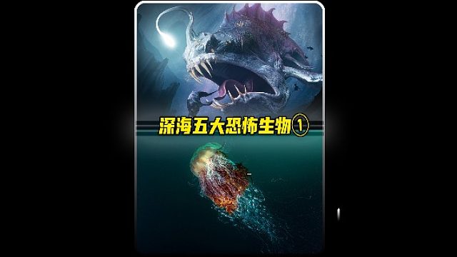 在我们未知的海底，究竟有着怎样怪异的生物