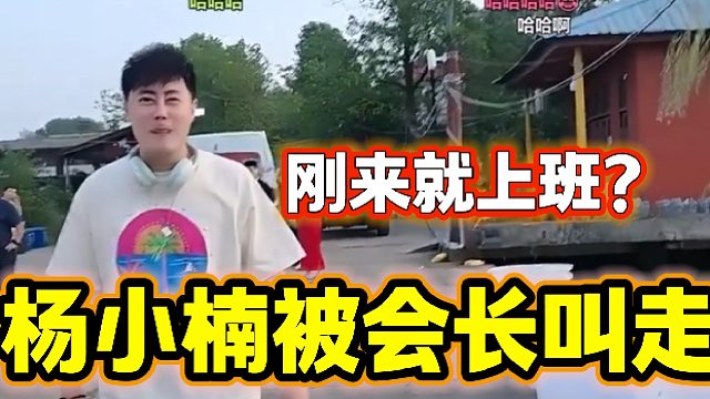 杨小楠回集梦116第一天就被会长叫走做节目，小楠都懵了！