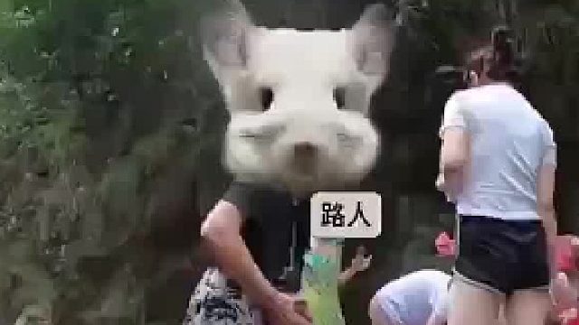 男：，我不白看，给你捡手机。