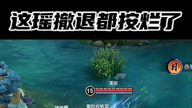 我说瑶怎么一直按撤退！