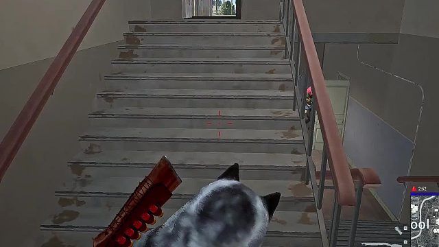 坑人的窗户我真的服了