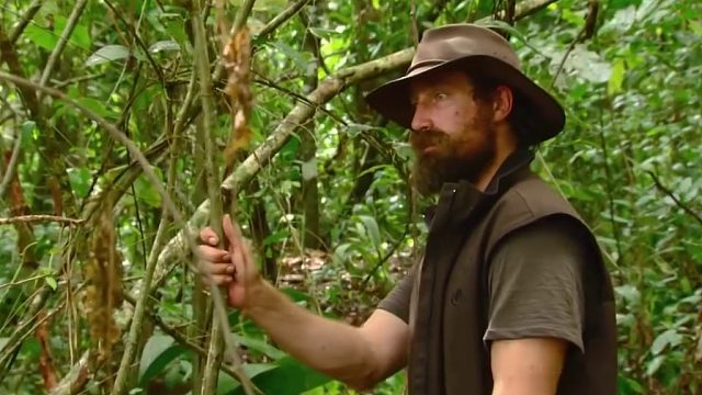 猎人和退伍雇佣兵尼加拉丛林荒野求生，吃上鳄鱼肉！(2)