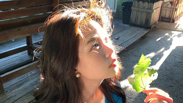 Live｜在树荫下被夹缝光笼罩的超绝瞬间