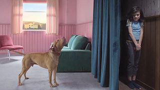 這男人在窗簾背后躲了60多年，卻從來沒有人發(fā)現(xiàn)過他，搞笑短片《躲一輩子》