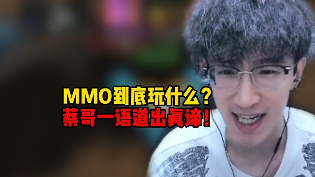 MMO到底是玩什么？蔡哥一语道出真谛！