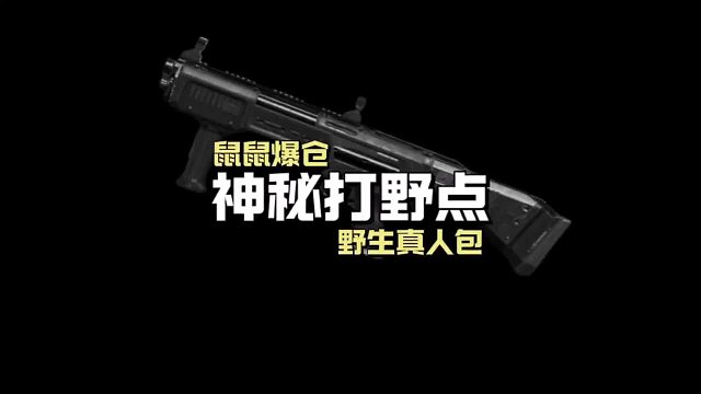 卡莫纳的流浪鼠意外闯入神秘野外，肥肥迅速逃离