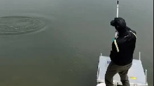 脾气有点暴躁！