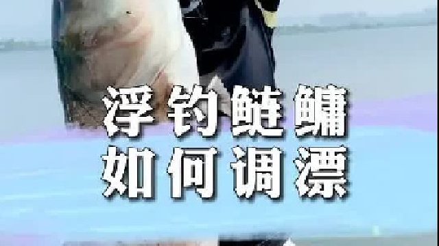 浮钓鲢鳙如何调漂