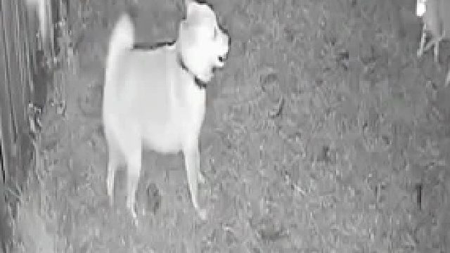 你是否有个为你拼命的朋友