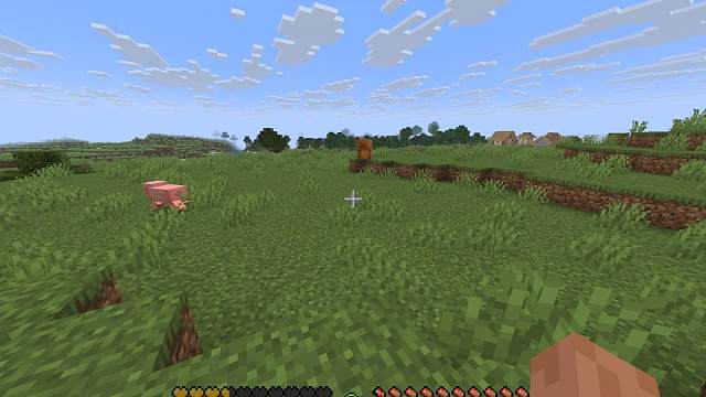 当我发现已经晚了！