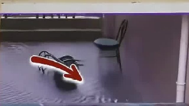 找律师，看看怎么写的