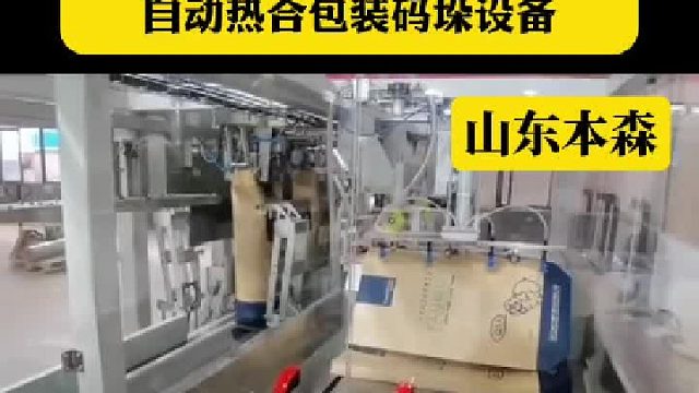 全自动双工位高速上袋包装机自动热合包装码垛设备