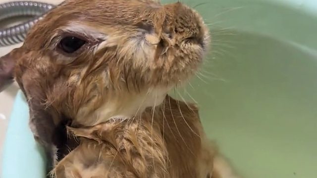 天冷了，热水澡泡起来