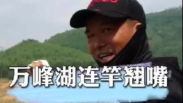 万峰湖翘嘴