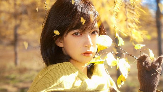 “你看啊 又到秋天了”