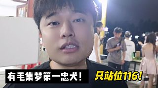 有毛集夢(mèng)第一忠犬！只站位116！