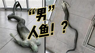 探秘深海：潛藏于黑暗的恐怖怪物