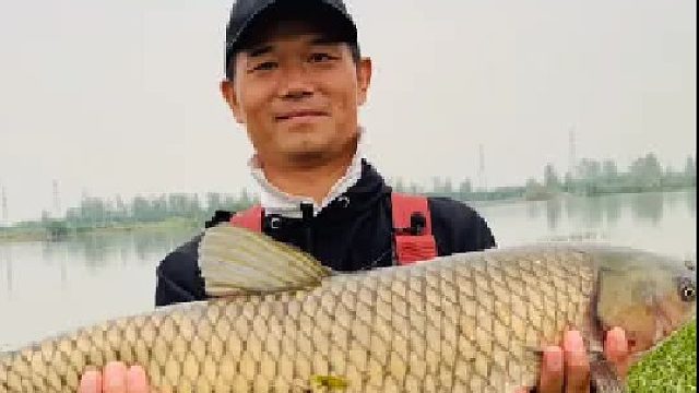 瓜圻湖搏大草。