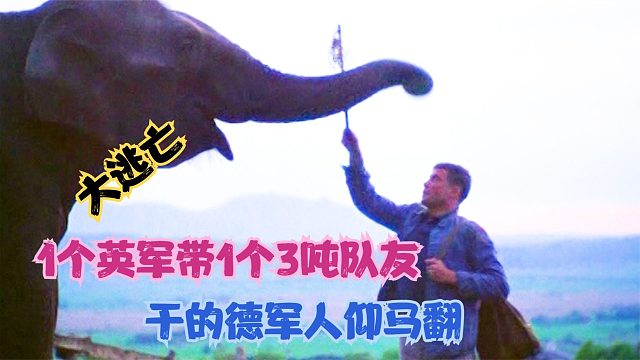 英军战俘带3吨队友逃亡，摧毁德军哨塔，灭掉德军坦克车队！
