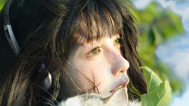 夏天会周而复始