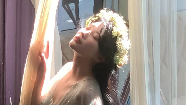 好像又回到了春天的时光