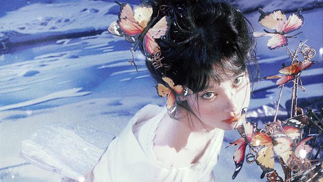 屏幕里vs成片丨蝴蝶 雪景能拍出...