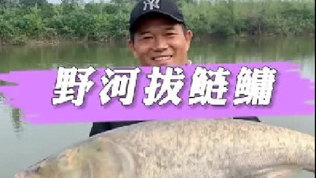 这应该就是喜爱手竿钓鲢鳙的原因吧。