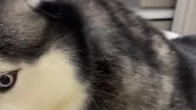 一天天的一惊一乍的