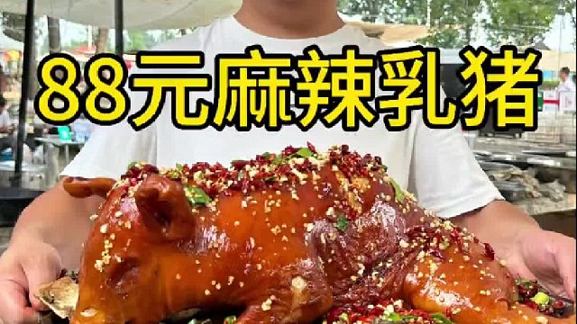 88元麻辣乳猪