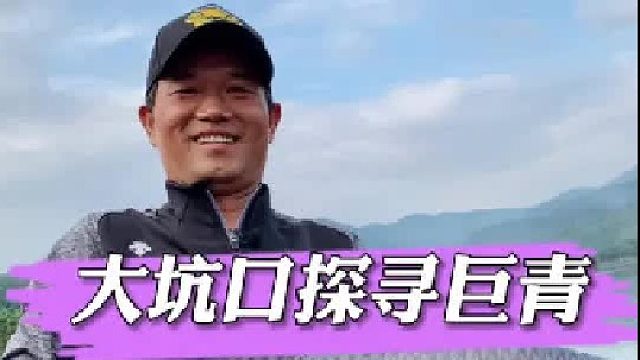 水库寻巨青。