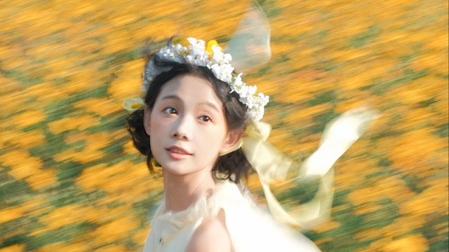 生命力的秘诀在于重复！｜花海拍摄过程