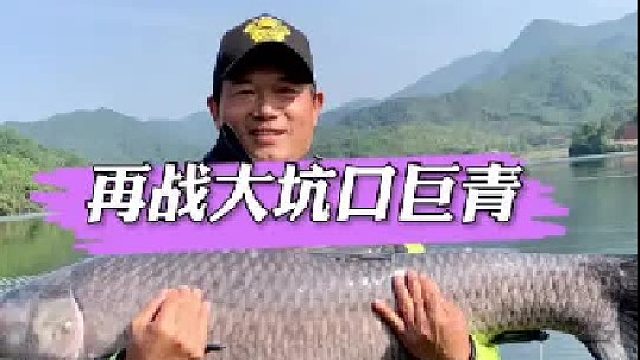 大坑口水库巨青。