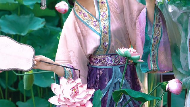 倚栏观荷｜风吹荷花香