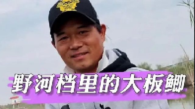 野河里的大板鲫。